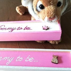 Κουτί Φύλαξης Τεστ Εγκυμοσύνης